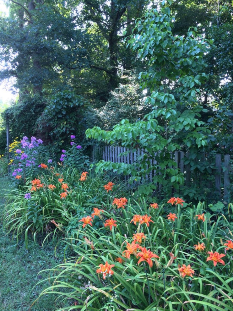 Photo of a transitional landscaping in Raleigh.