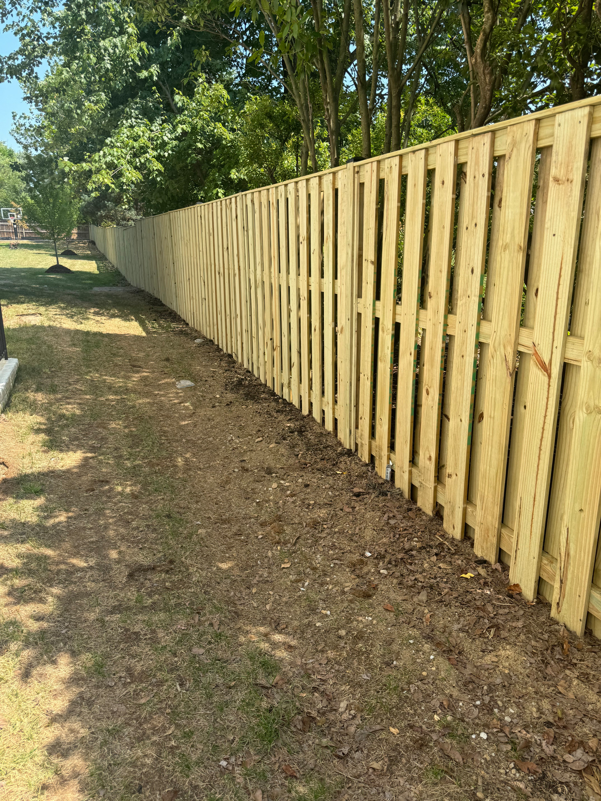 Our Work