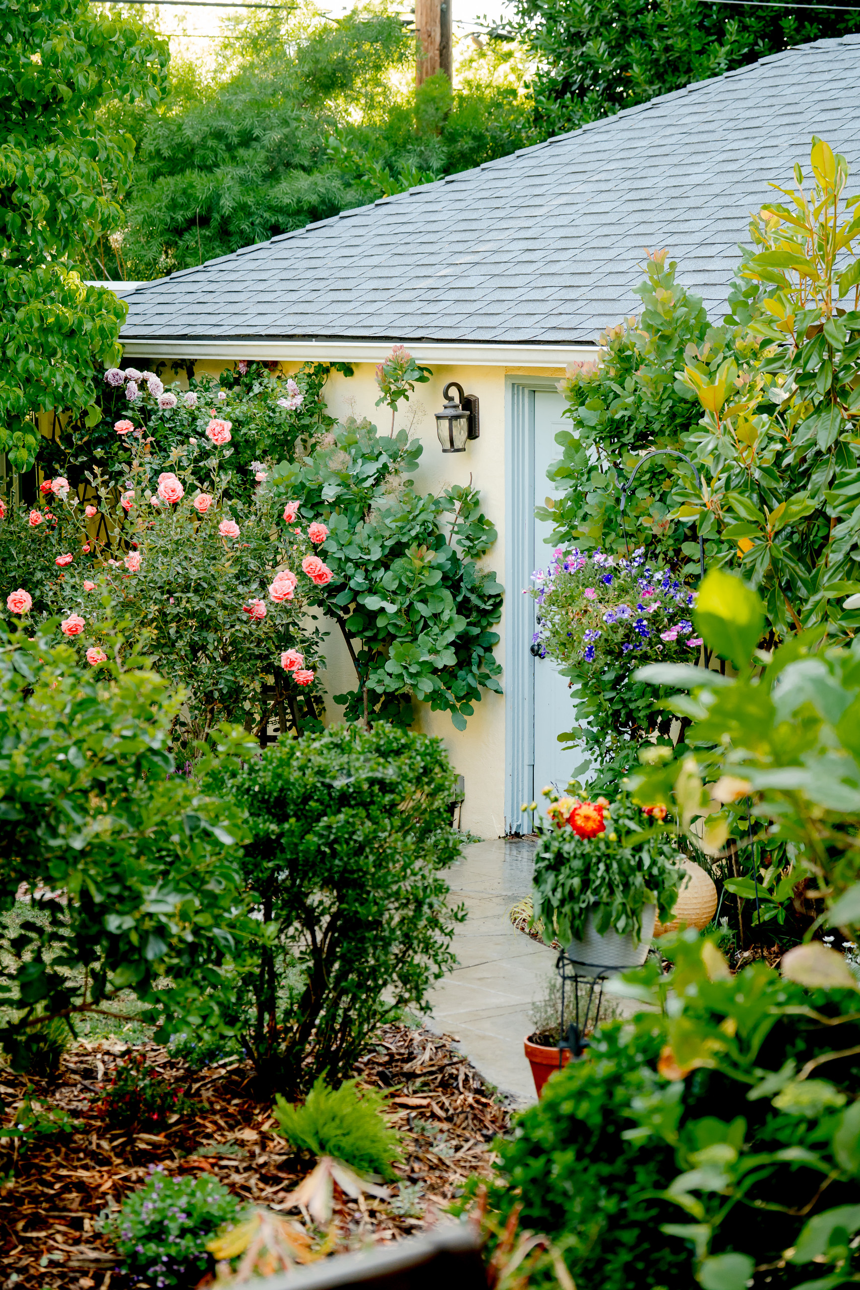 A Tapestry of Blooms and Greenery