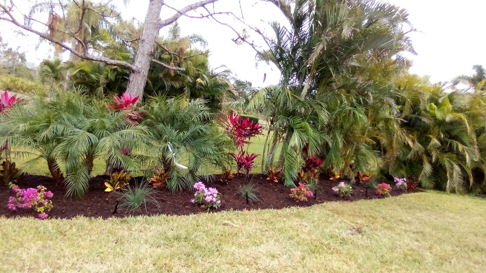 Design ideas for a privacy and full sun side yard mulch landscaping.
