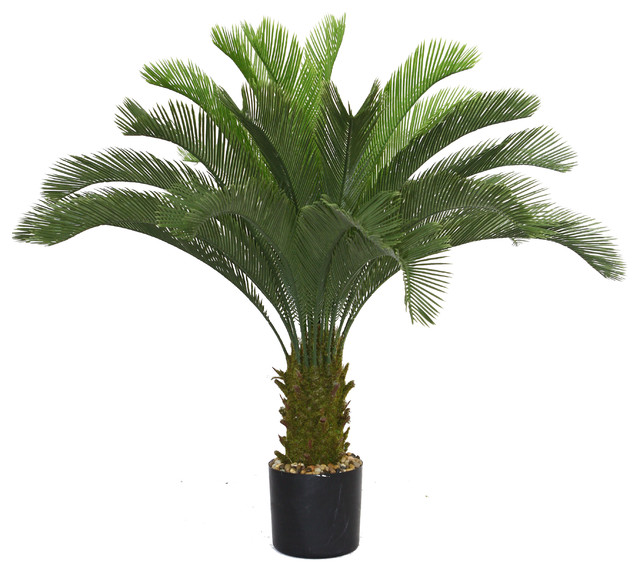 Artificial Faux Plastic 48 Tall Cycas Palm Tree Tropical Plants And Trees By Vintage Home - Decorative Palm Trees Outdoor Artificial Faux Plastic 48 Tall Cycas Palm Tree Tropical Plants And Trees By Vintage Home - Decorative Palm Trees Outdoor