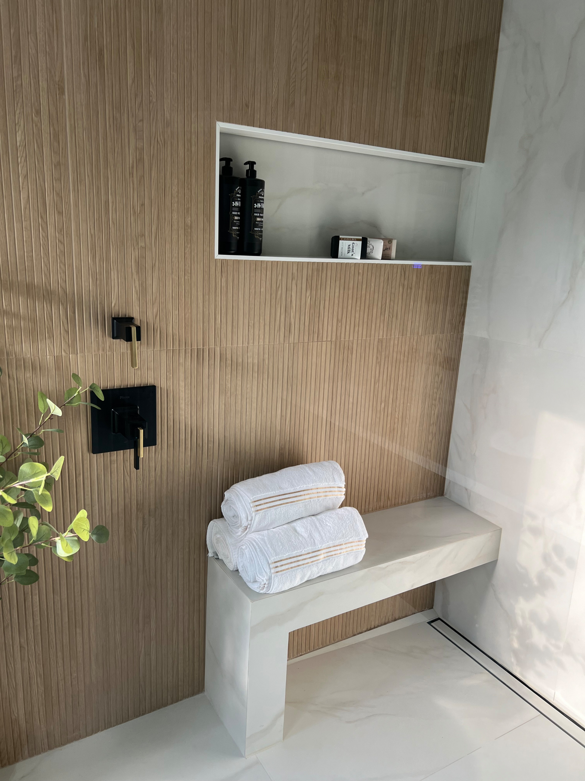 Mster bathroom remodeling Design project