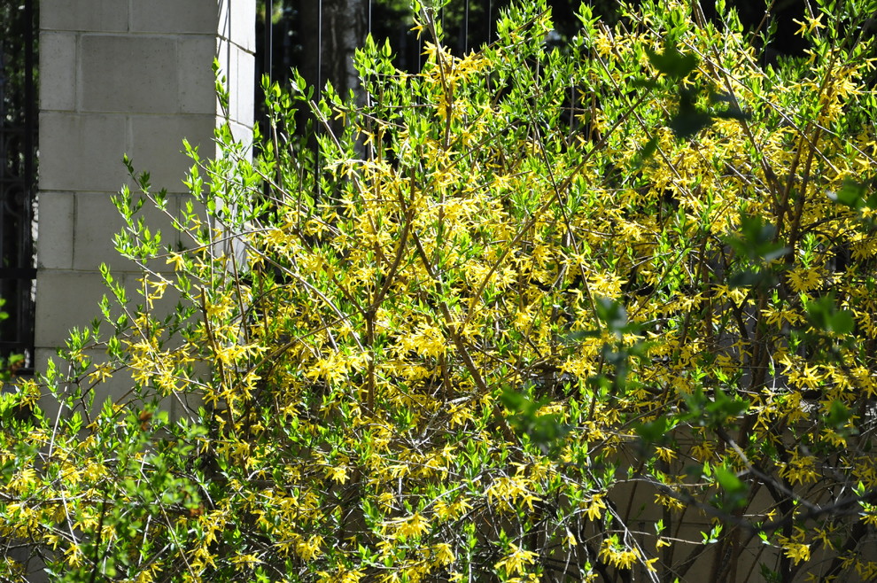 кп. "Архангельское" - Уход за садом - 100% качество!