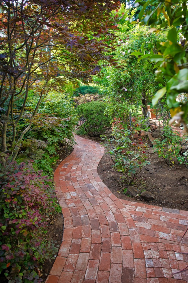 Photo of a mid-sized traditional backyard garden in San Francisco with a container garden and brick pavers.