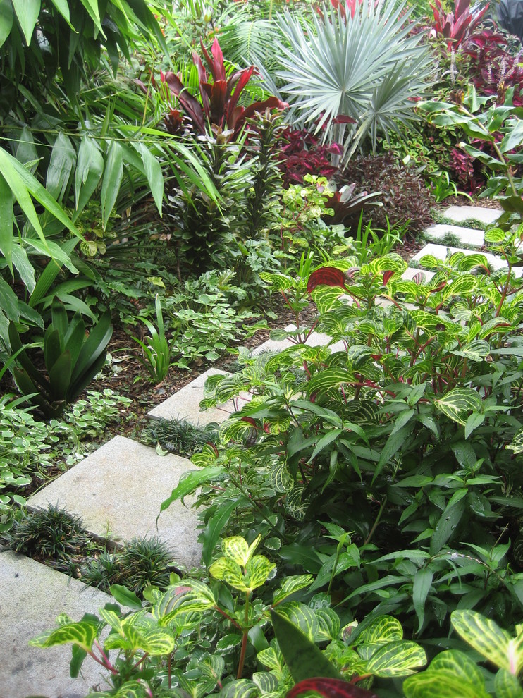 Inspiration for a mid-sized tropical side yard partial sun garden in Gold Coast - Tweed.