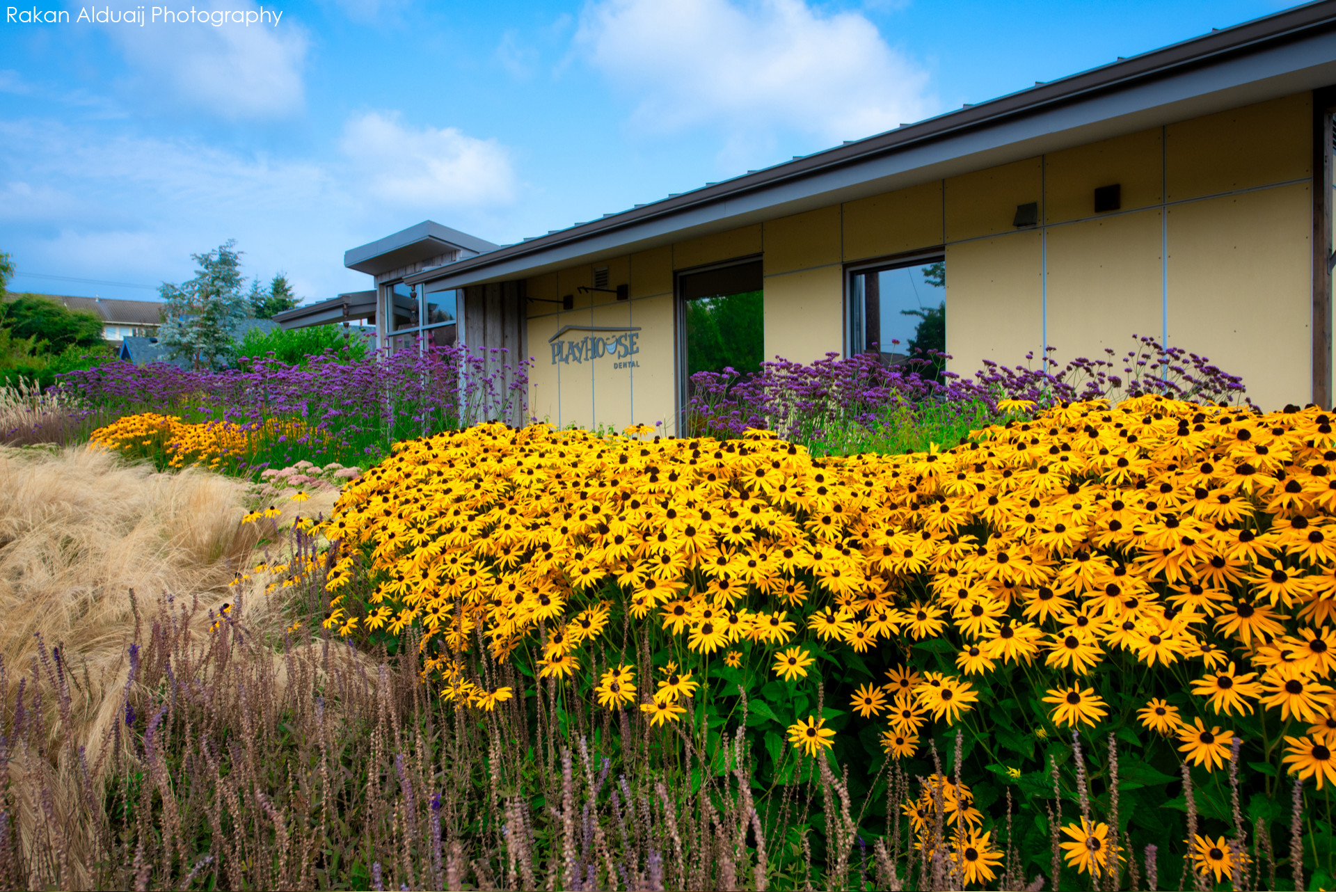 COMMERCIAL LANDSCAPE SERVICES