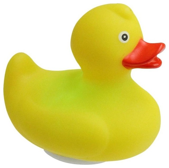 yellow duck pool float