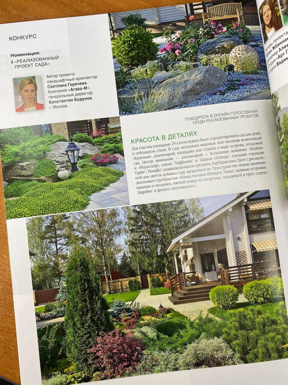 Публикации в прессе