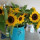jane_felson