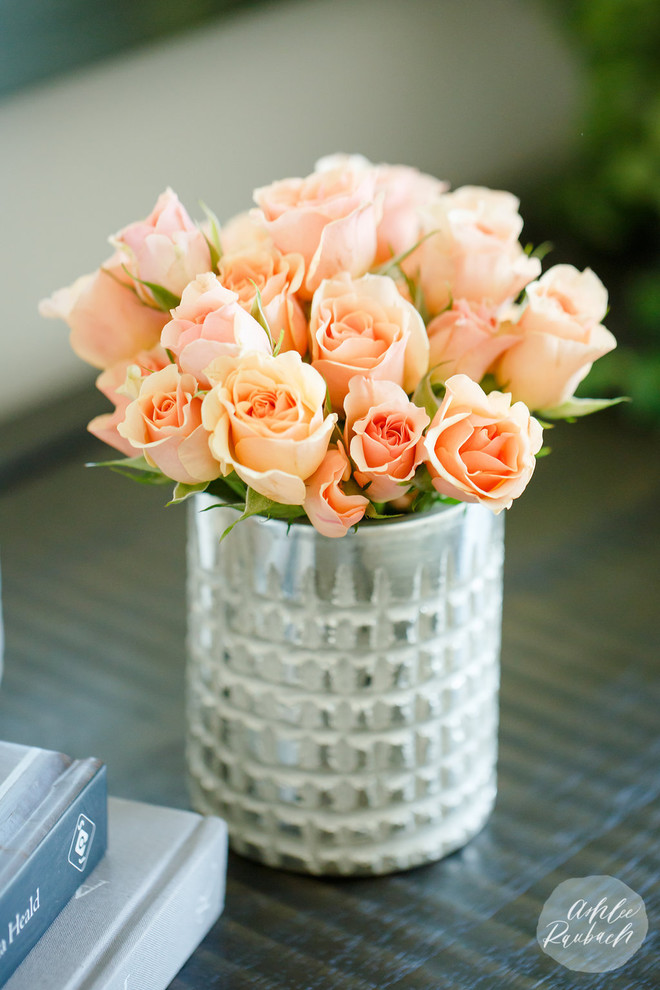 Transitional home design photo in Orange County
