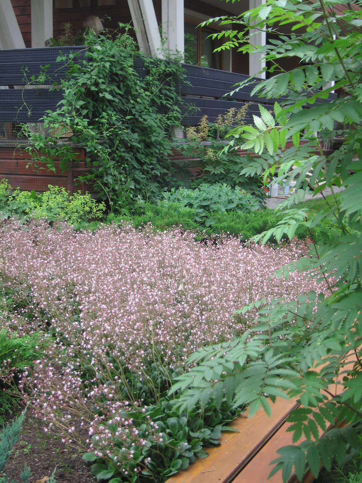 Спасибо Малевичу (в стиле супрематизма)