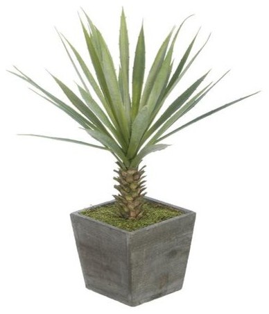 Artificial Baby Yucca in Grey-Washed Wood Cube