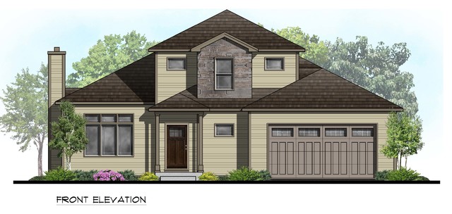 2D Rendering 