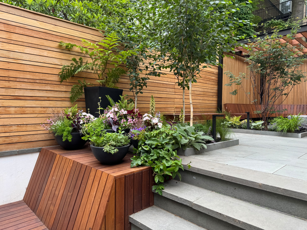 Carroll Gardens Modern