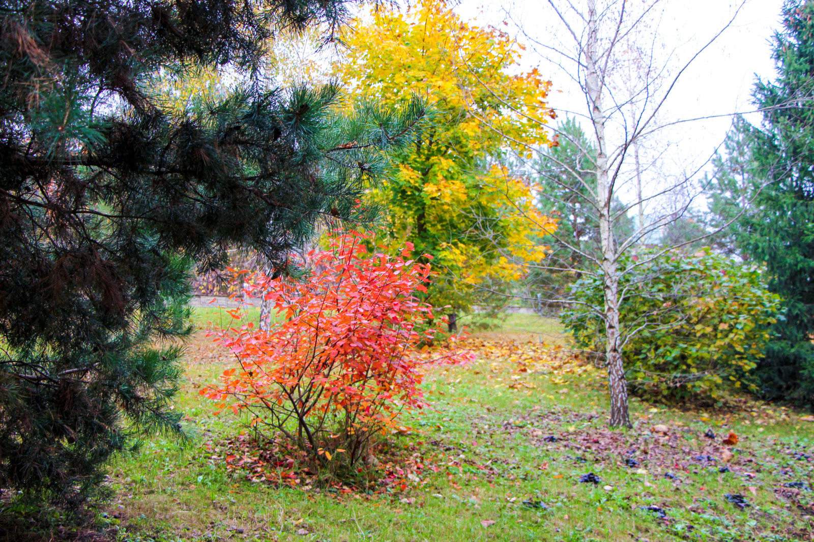 Лобаново, 2012-2021 гг.