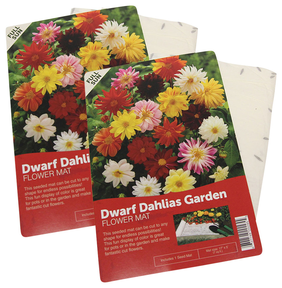 Dwarf Dahlia Flower Seed Mat, 2Pack Contemporary Bulbs And Seeds by Touch of ECO Houzz