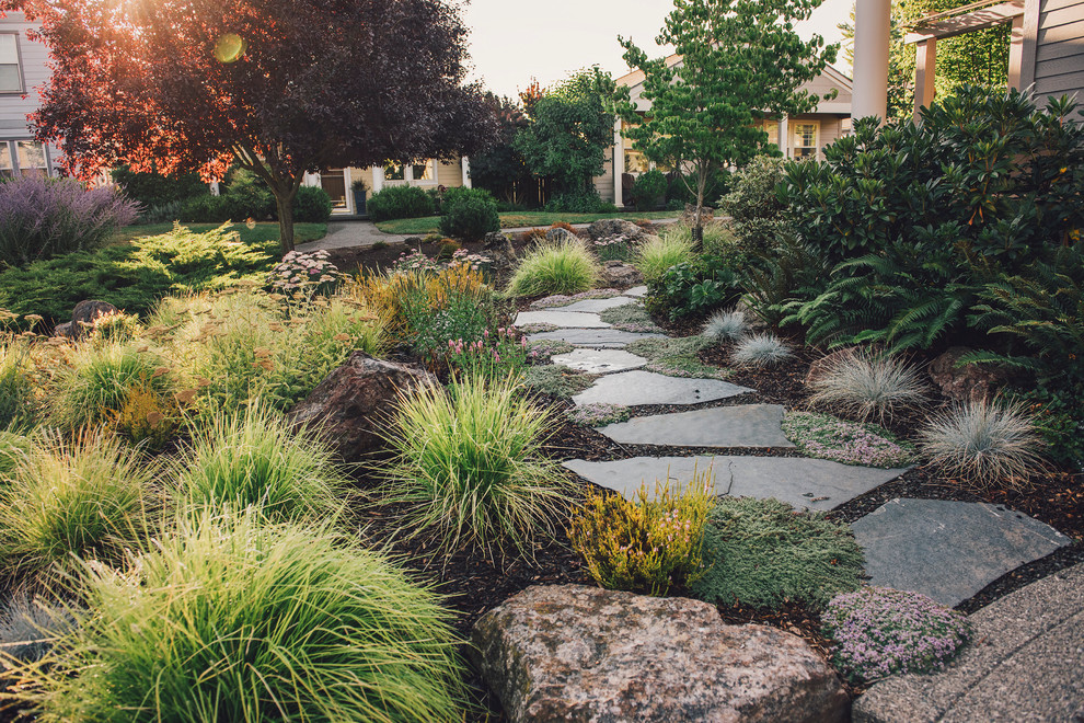 This is an example of a mid-sized modern front yard full sun xeriscape for summer in Other with a garden path and mulch.