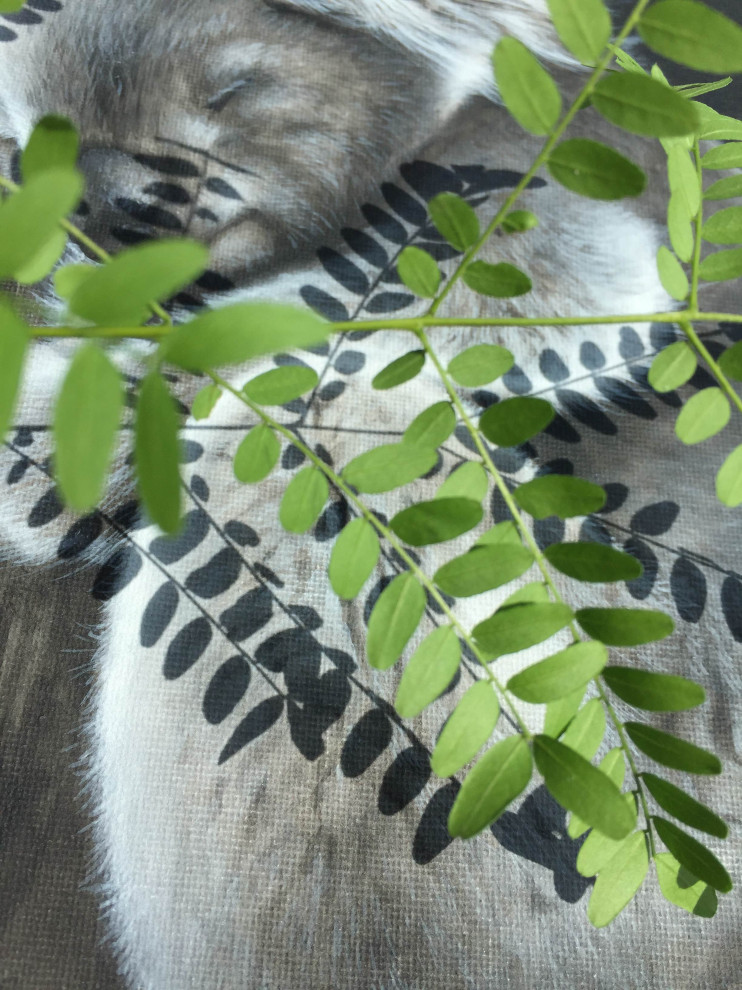 Мои картины