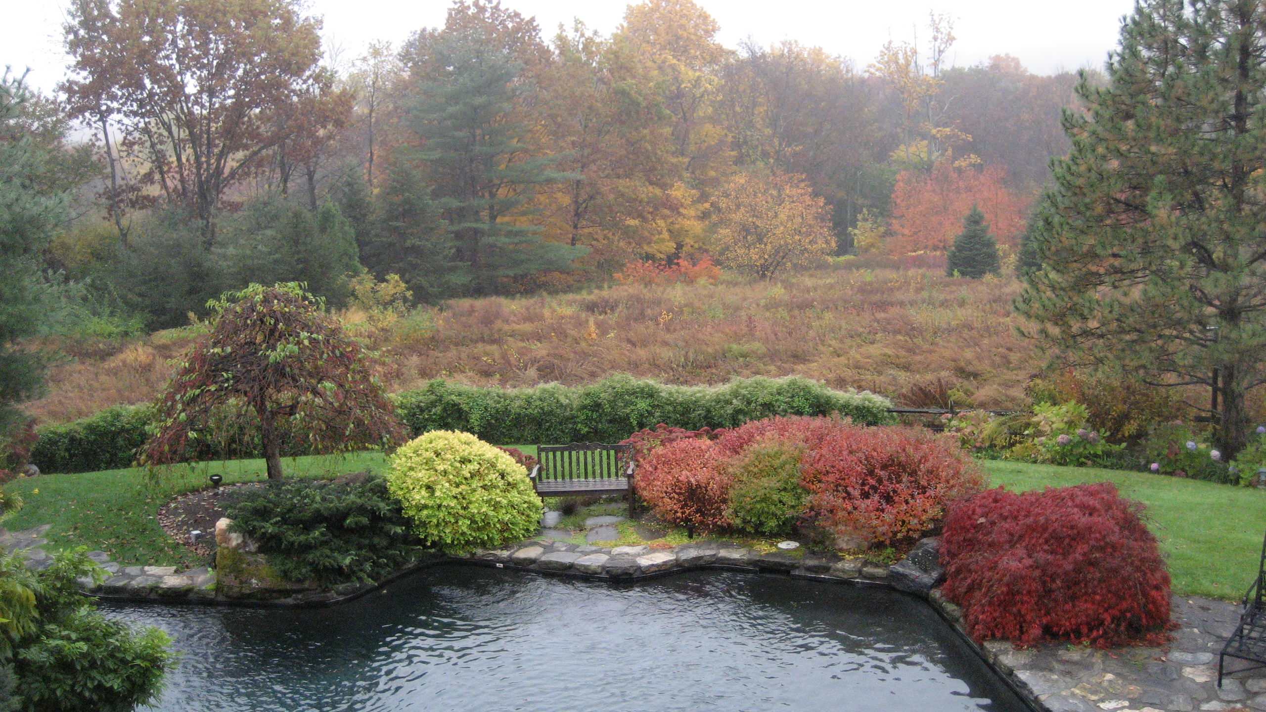 Peter Atkins and Associates, LLC