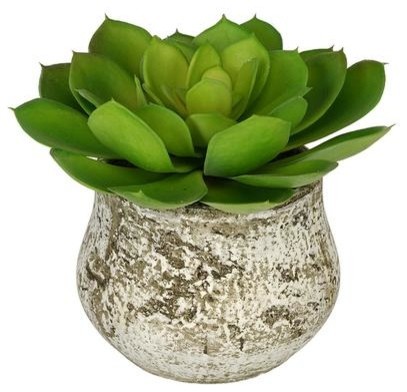 Artificial Green Echevaria Succulent in Distressed Cement Vase