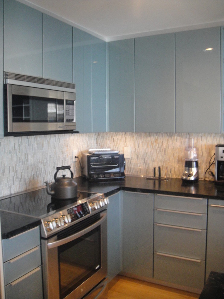 This is an example of a contemporary kitchen in San Diego.