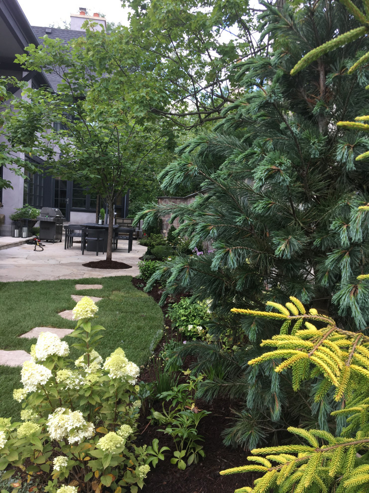 This is an example of a transitional garden in Chicago.