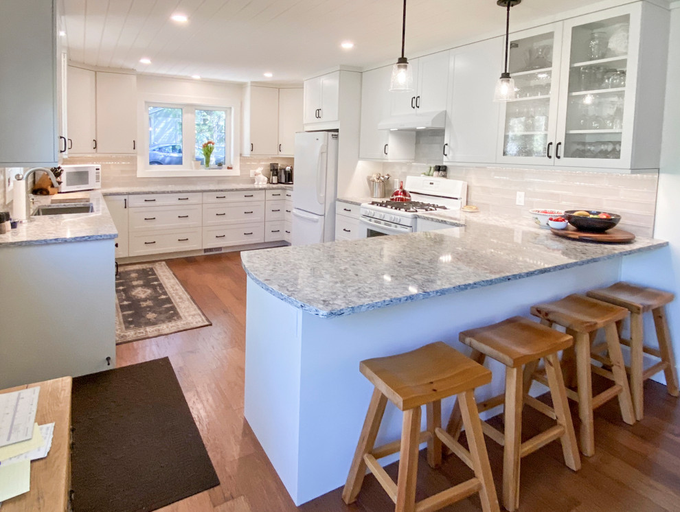 Kitchen - transitional kitchen idea in Toronto