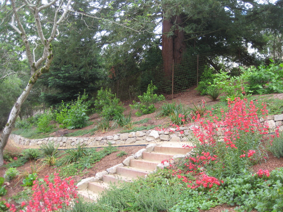 Inspiration for a mid-sized modern partial sun hillside mulch landscaping in San Francisco for summer.