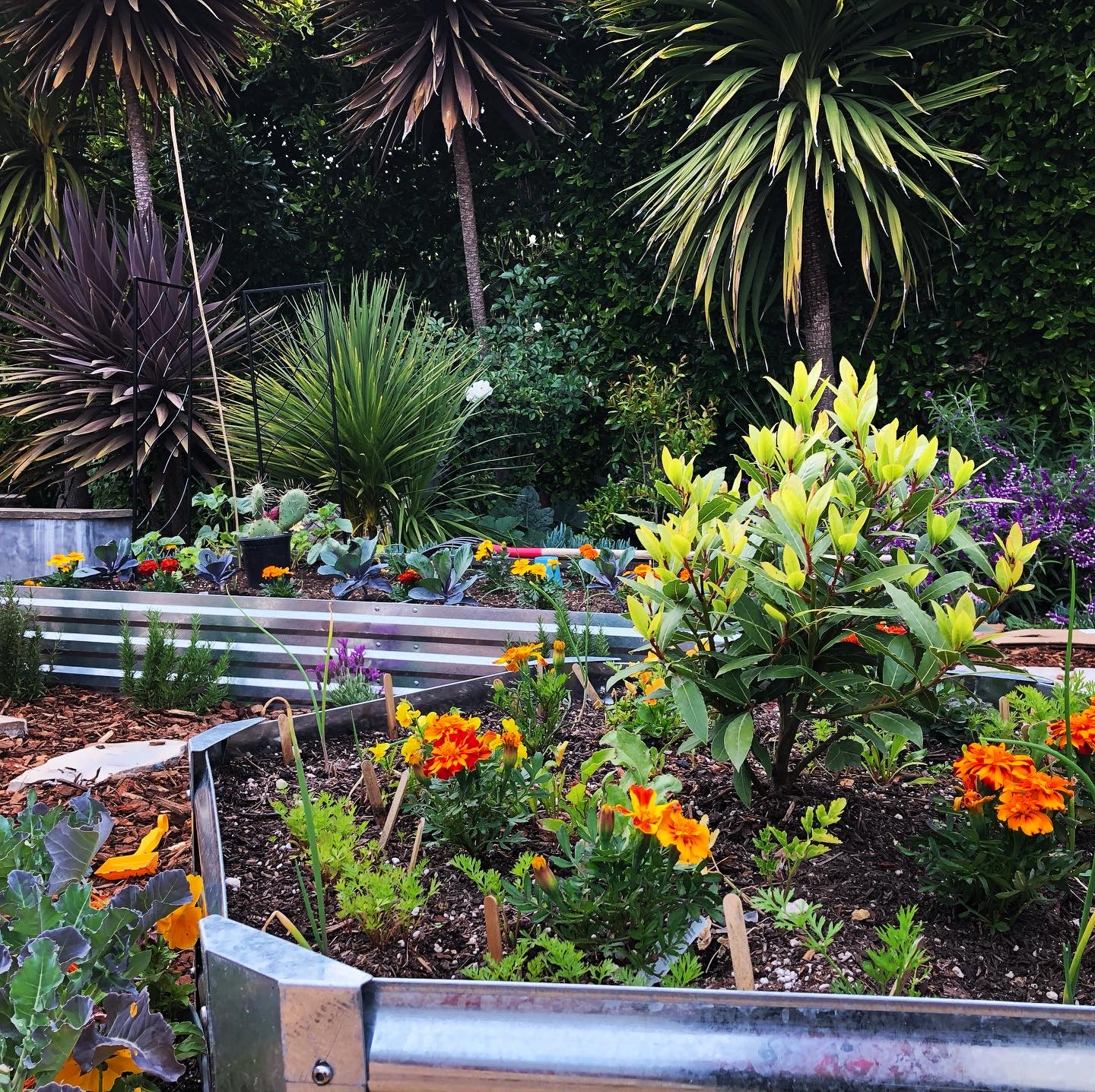 Rustic Kitchen Garden