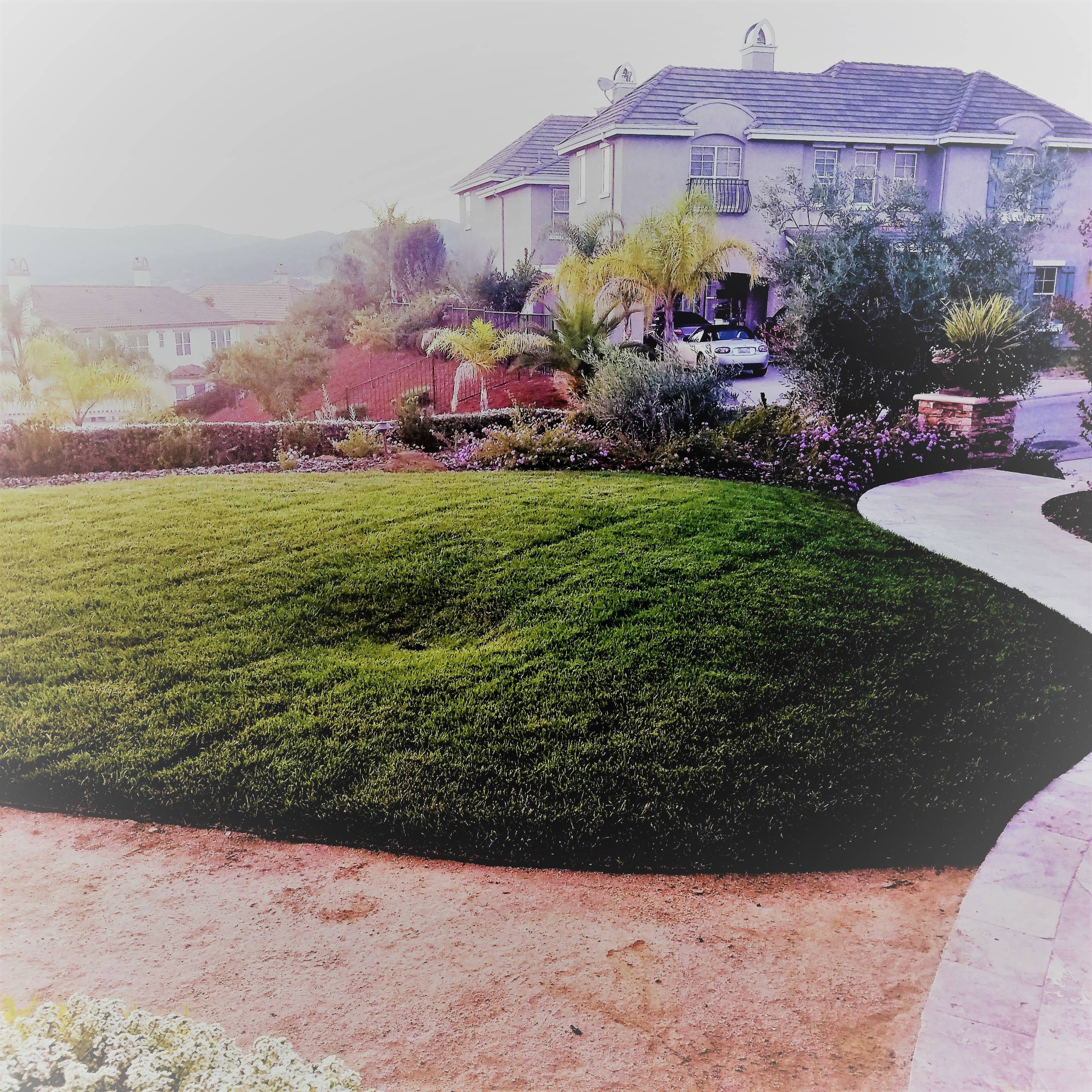Gilroy CA