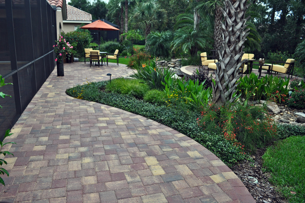 This is an example of a tropical garden in Tampa.