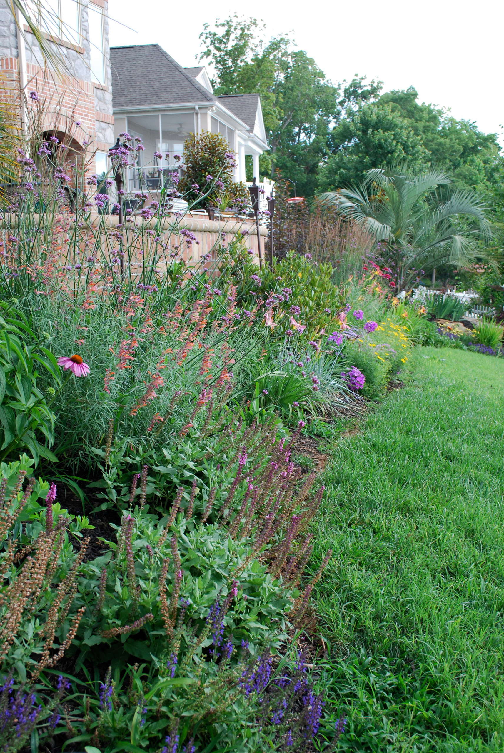 BSR Project Revisited 8 months later. By Sifford Garden Design