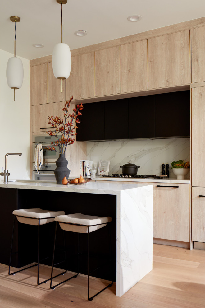 Curated visual reference: Visual Reference: San Francisco Remodel Contemporary Kitchen San Francisco