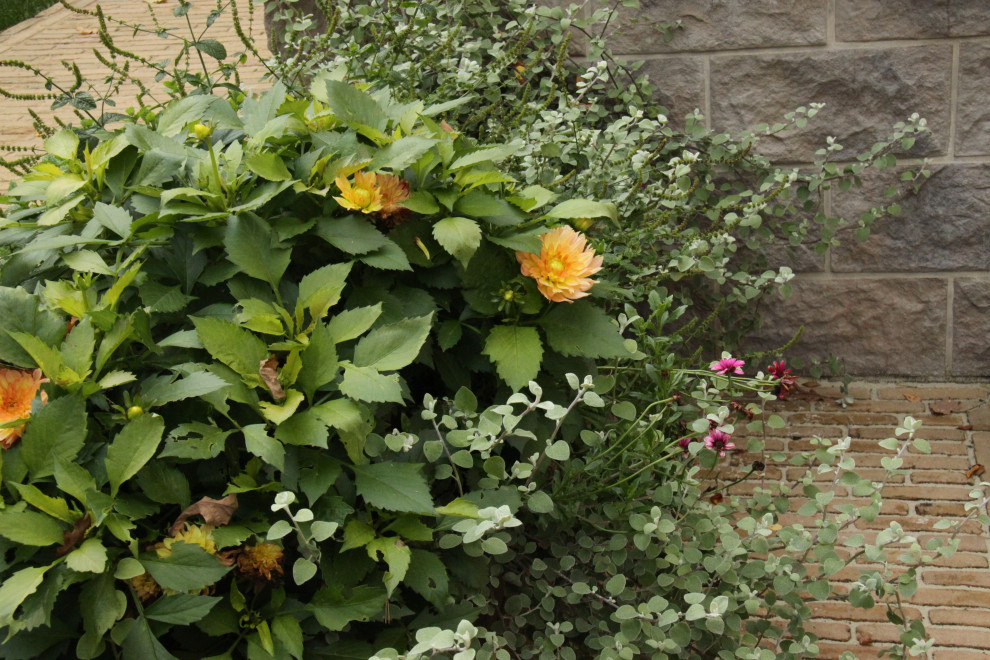 "Fairy Garden.Сад под дубами"