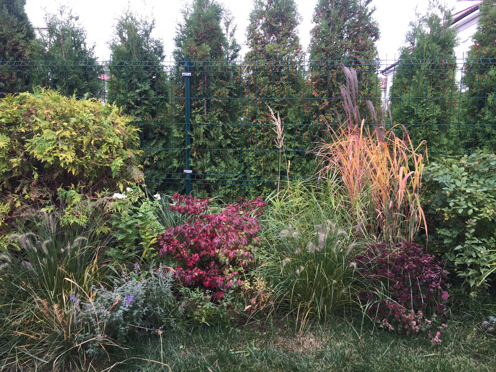 Ландшафт за 5 дней.