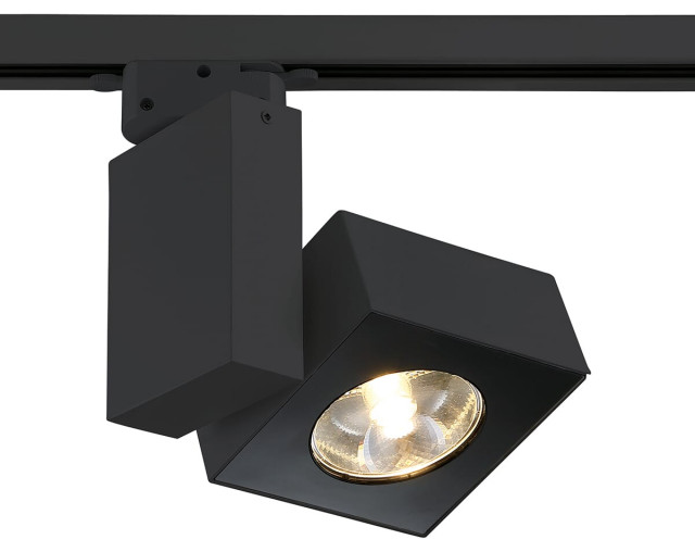 32983 1-Light Track Lighting in Black - Transitional - Track Heads And ...