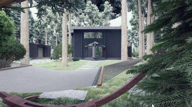 Ландшафт. Лесная погулка