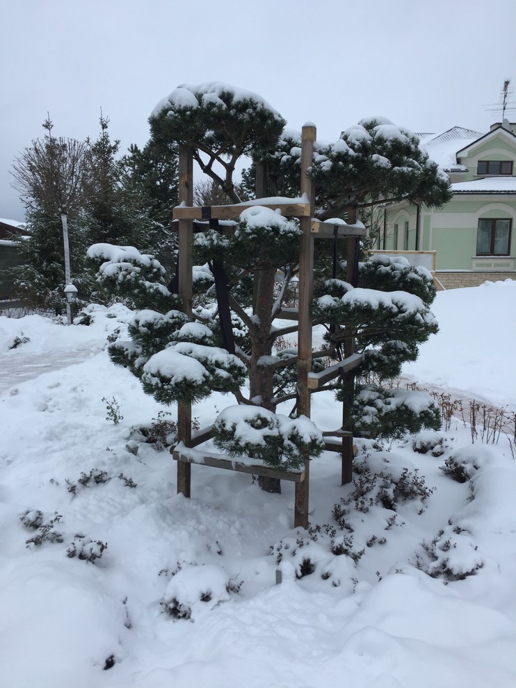 Зимние объекты