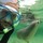 damien_giraud