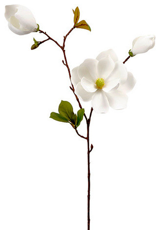 Silk Plants Direct Magnolia, Set of 12, White