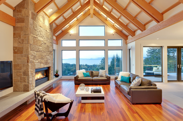 Hillside Contemporary contemporary-living-room