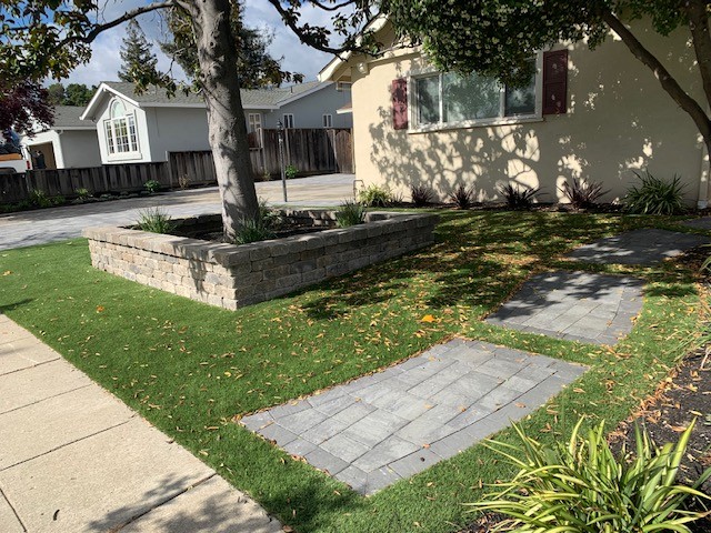 Parker Front Yard