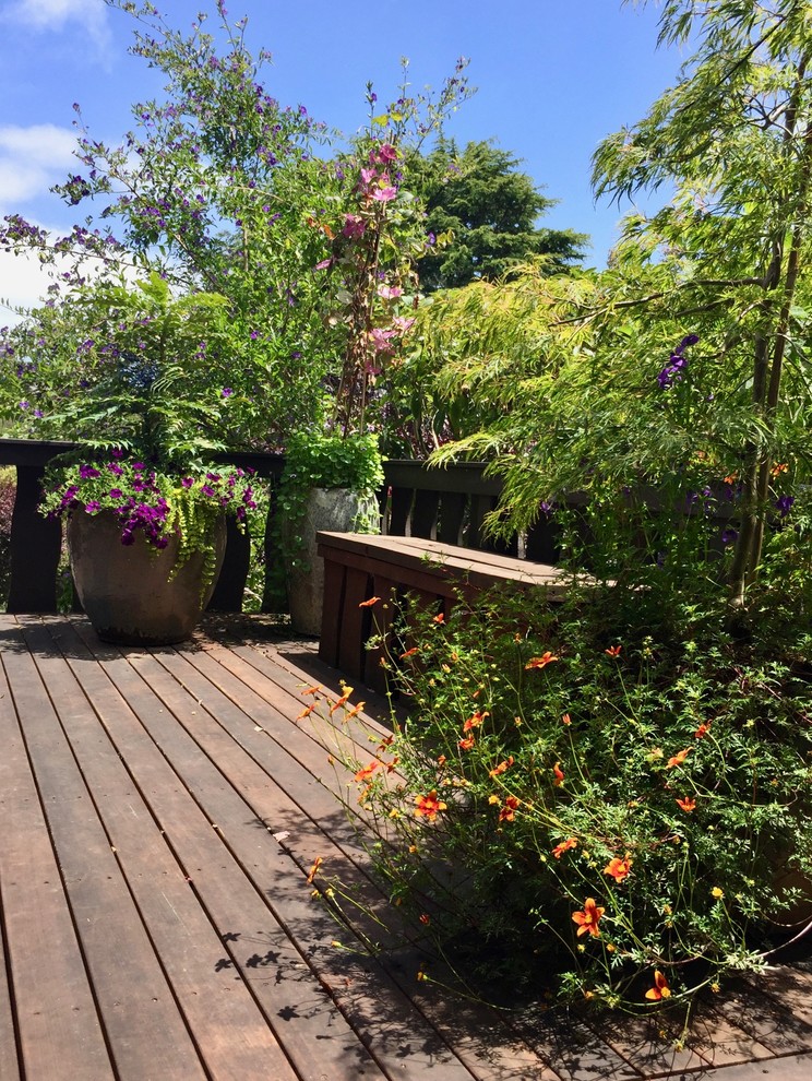 This is an example of a mid-sized transitional full sun front yard landscaping in San Francisco with decking for summer.