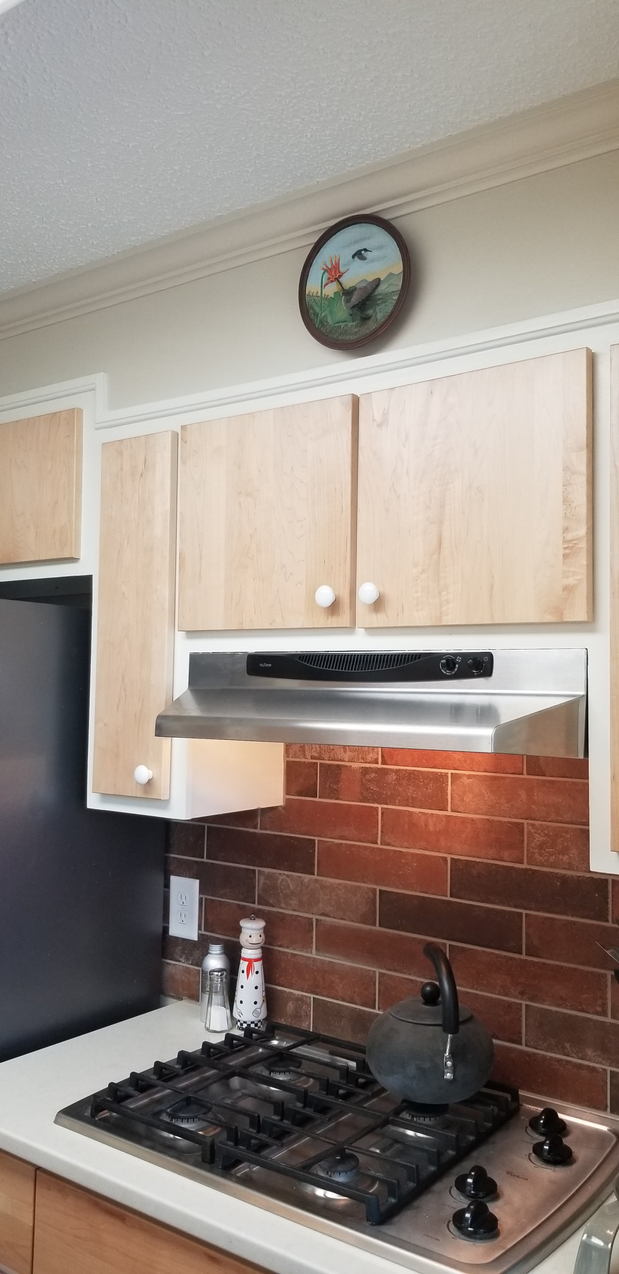 Downtown Condo Kitchen Remodel