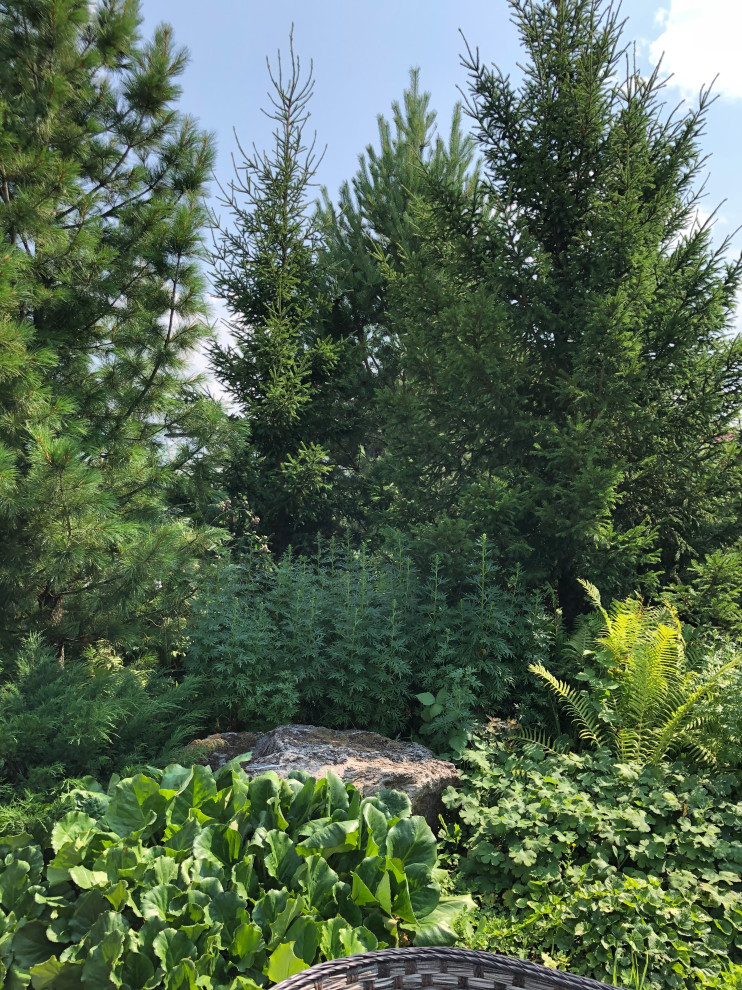 Счастливый сад