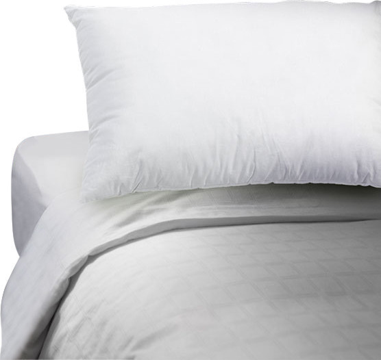 Lavish Home 100% Cotton Feather Down Pillow - Standard
