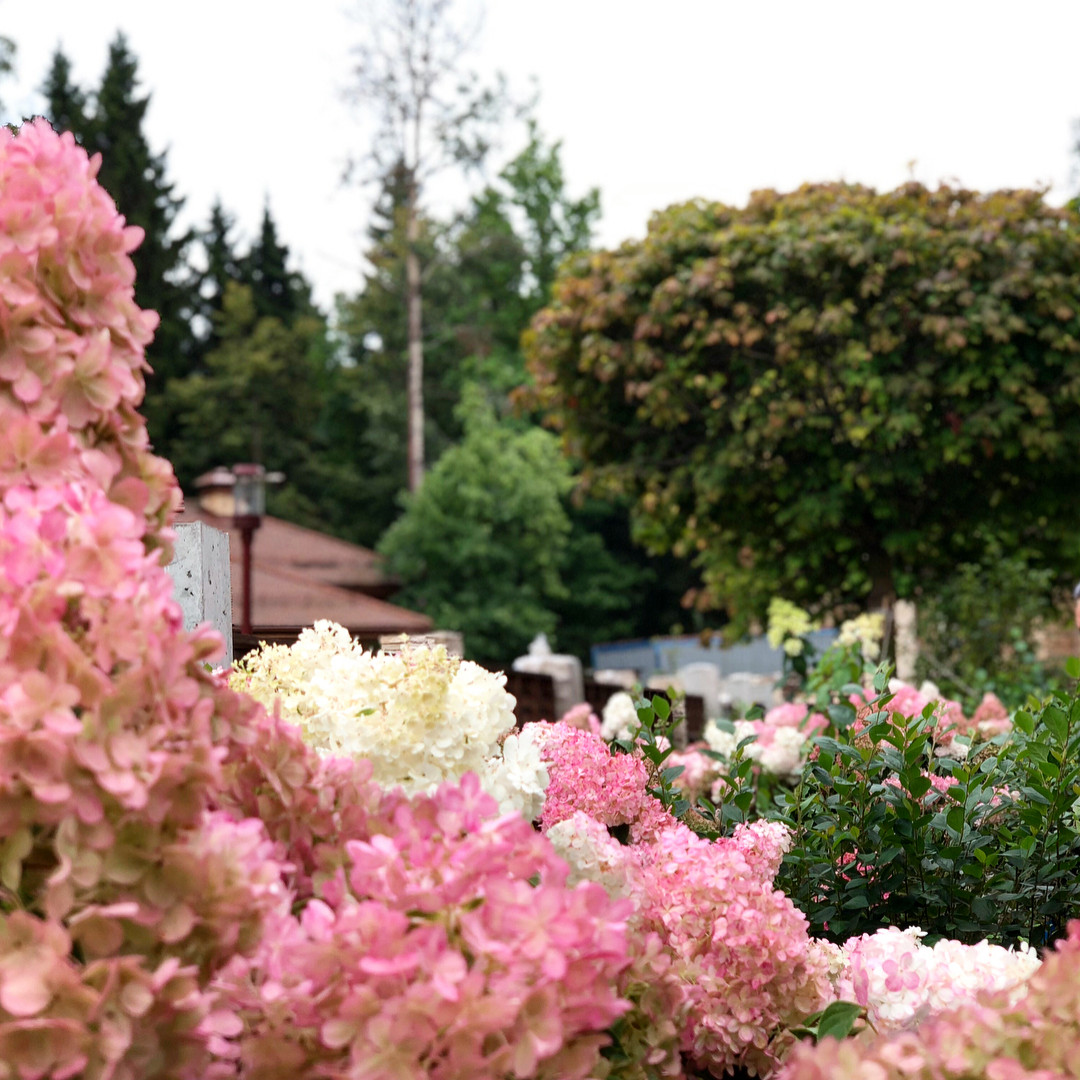 Современный ландшафтный дизайн.
