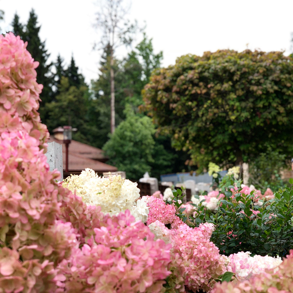 Современный ландшафтный дизайн.