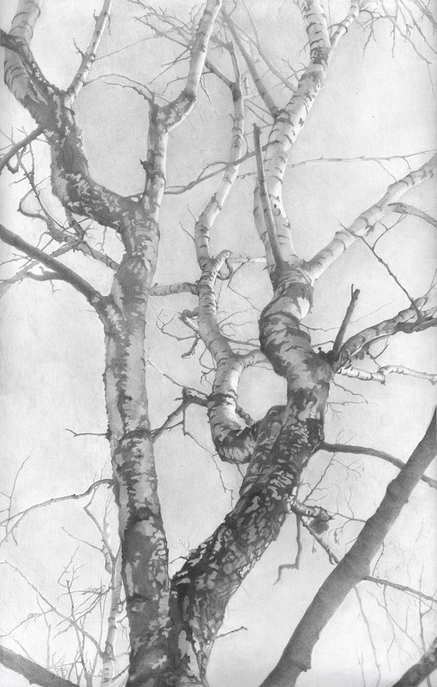 Рисунок карандашом