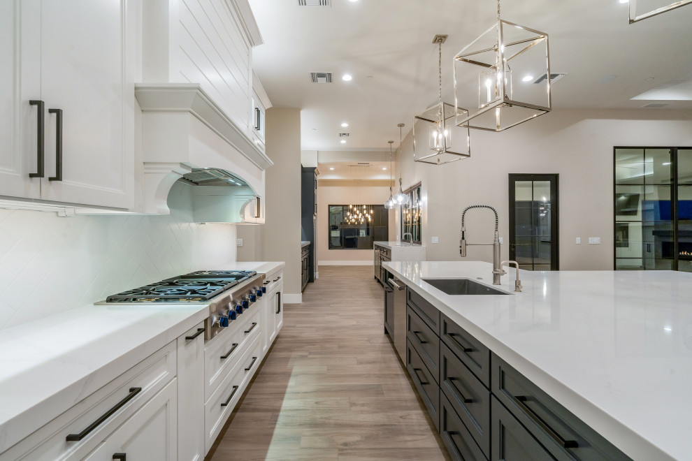 Large minimalist u-shaped open concept kitchen photo in Phoenix with an island